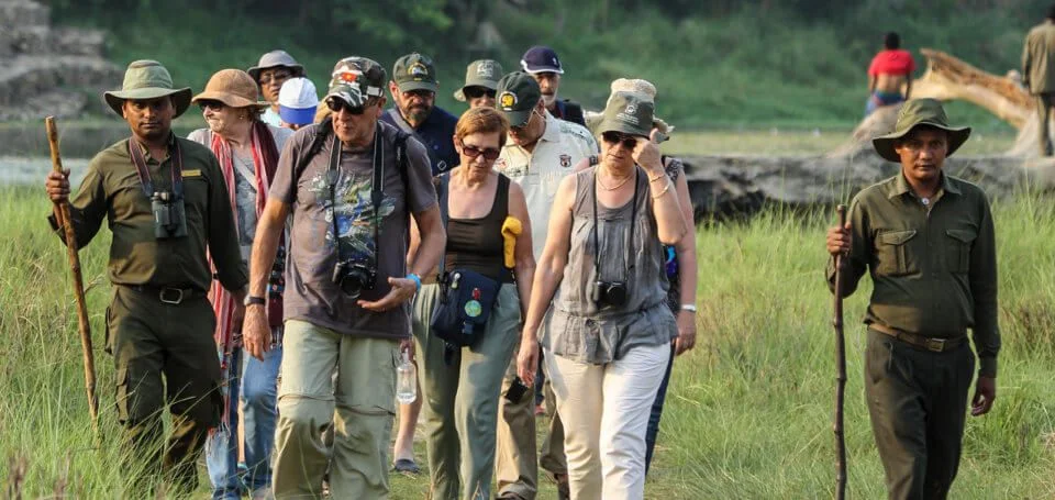 Top Things to Do in Chitwan 