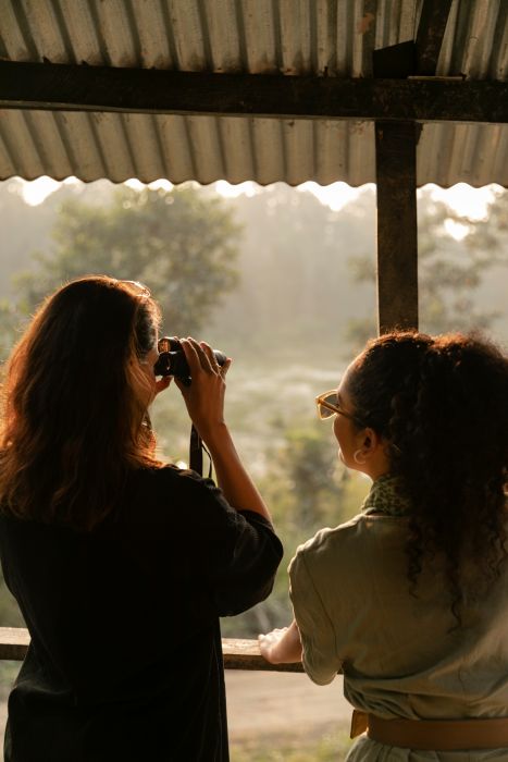 jungle view with binocular