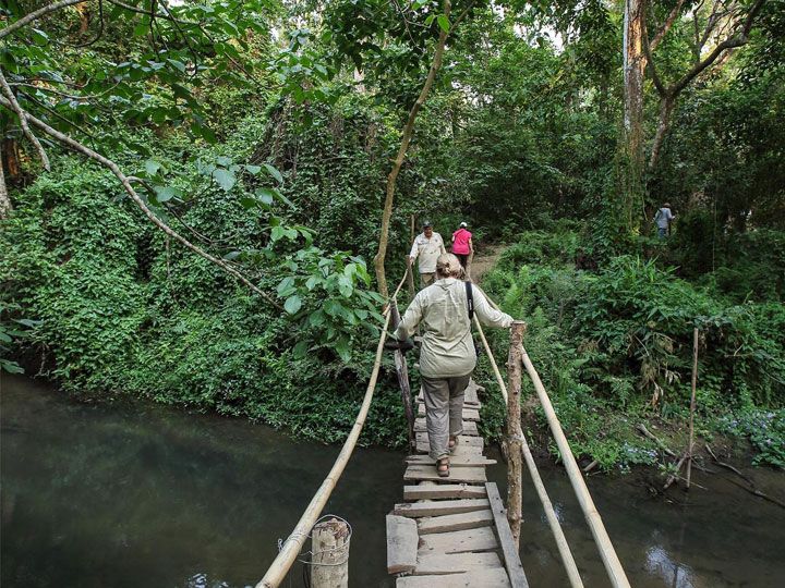 Jungle walk through chitwan national park accompained by expert naturalist of kasara resort chitwan